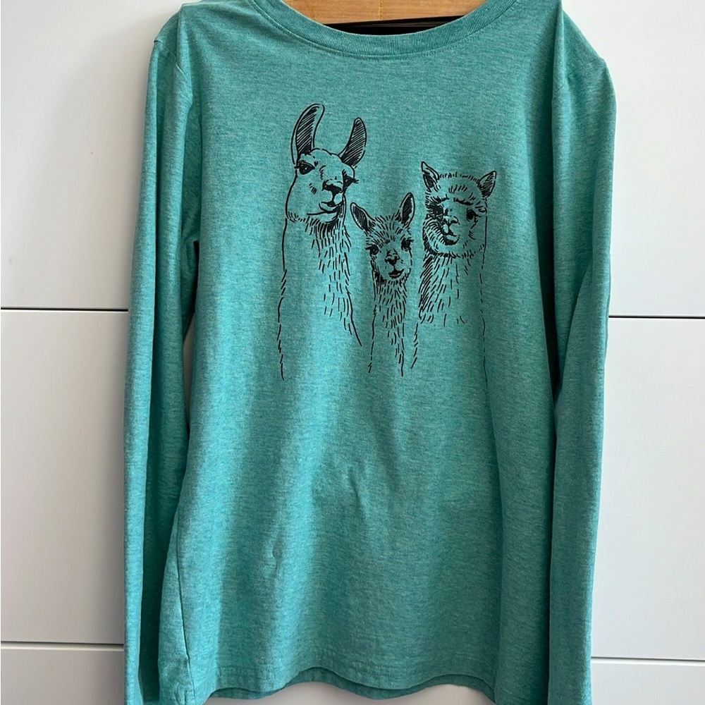 Tea Collection Shirt, Boys, size 16, fits 11-12 year old